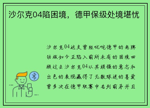 沙尔克04陷困境，德甲保级处境堪忧
